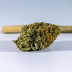 CBD Flower