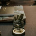 cannabis Concentrates
