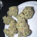 Cheetah Piss Cannabis Strain Review