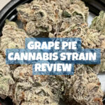 Grape Pie Cannabis Strain Review