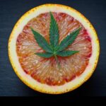 Limonene Terpene