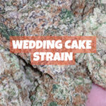 wedding cake strain