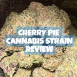 Cherry Pie Cannabis Strain review