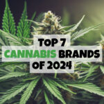 Top 7 Cannabis Brands of 2024