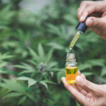 co2 extraction