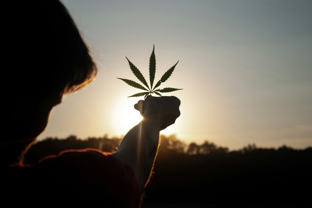 Texas: Hemp-Derived Cannabinoid Pioneer