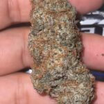 top shelf premium cannabis flower
