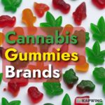 Best Cannabis Gummies Brands