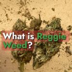 what is reggie weed?