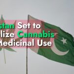Pakistan Set to Legalize Cannabis for Medicinal Use