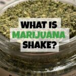 What is Marijuana Shake?