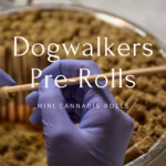 dogwalkers pre rolls