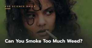 Can You Smoke Too Much Weed? Symptoms, Risks & What to Do