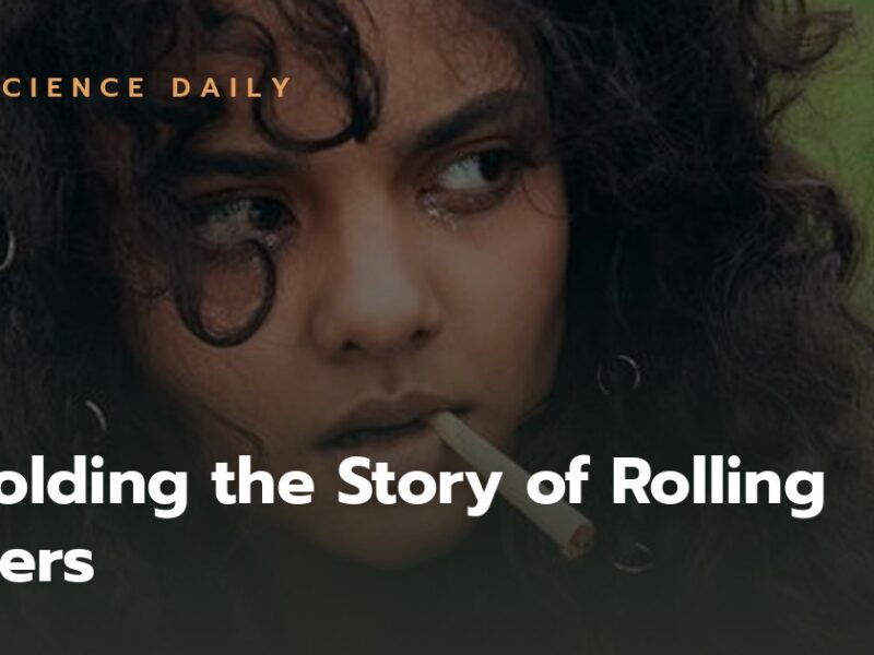 Unfolding the Story of Rolling Papers: A Sustainable Companion to Your Smoking Journey