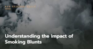 Understanding the Impact of Smoking Blunts