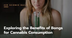 Exploring the Benefits of Bongs for Cannabis Consumption