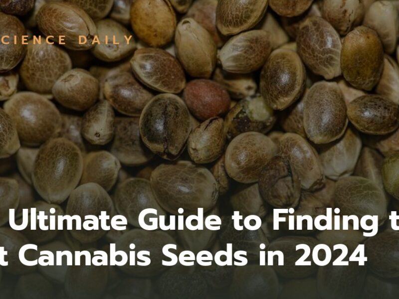 The Ultimate Guide to Finding the Best Cannabis Seeds in 2024