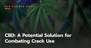 CBD: A Potential Solution for Combating Crack Use