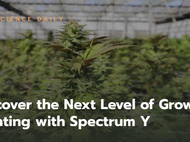 Discover the Next Level of Grow Lighting with Spectrum Y
