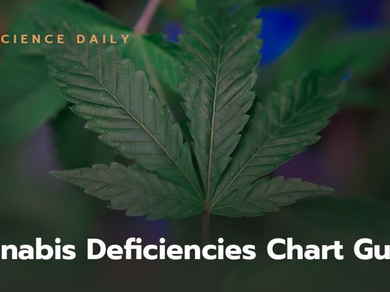 Cannabis Deficiencies Chart | Guide to Diagnosing and Fixing Cannabis Deficiencies