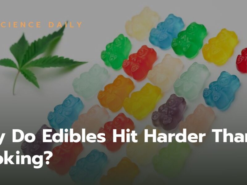 Why Do Edibles Hit Harder Than Smoking? The 11-Hydroxy-THC Science