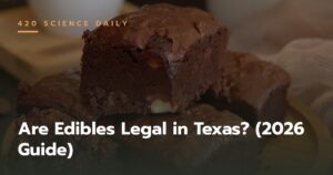 Are Edibles Legal in Texas? (2026 Guide)