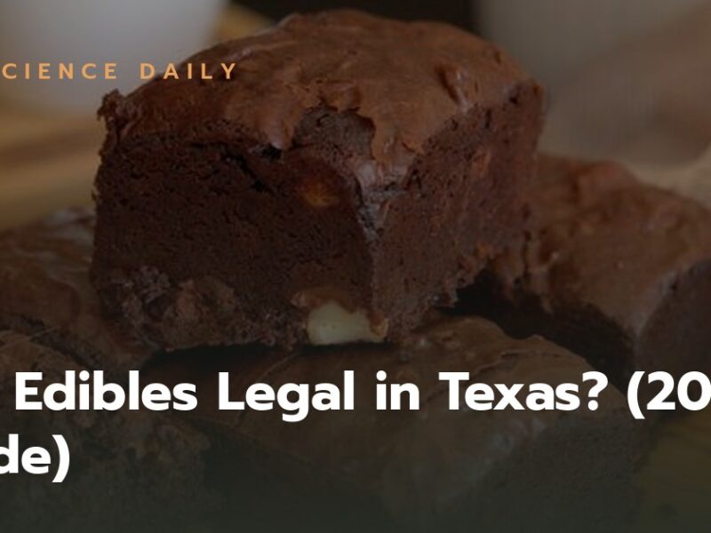 Are Edibles Legal in Texas? (2026 Guide)