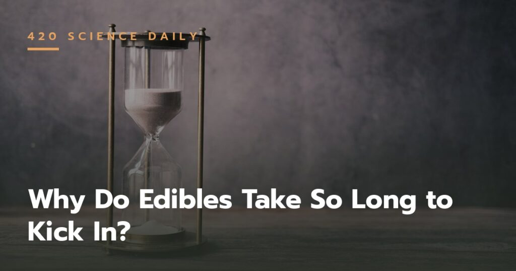 edibles-onset