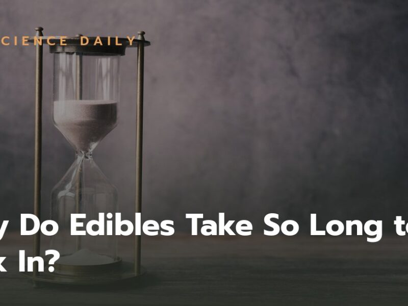 Why Do Edibles Take So Long to Kick In? The Science of Oral THC Onset
