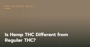 Is Hemp THC Different from Regular THC?