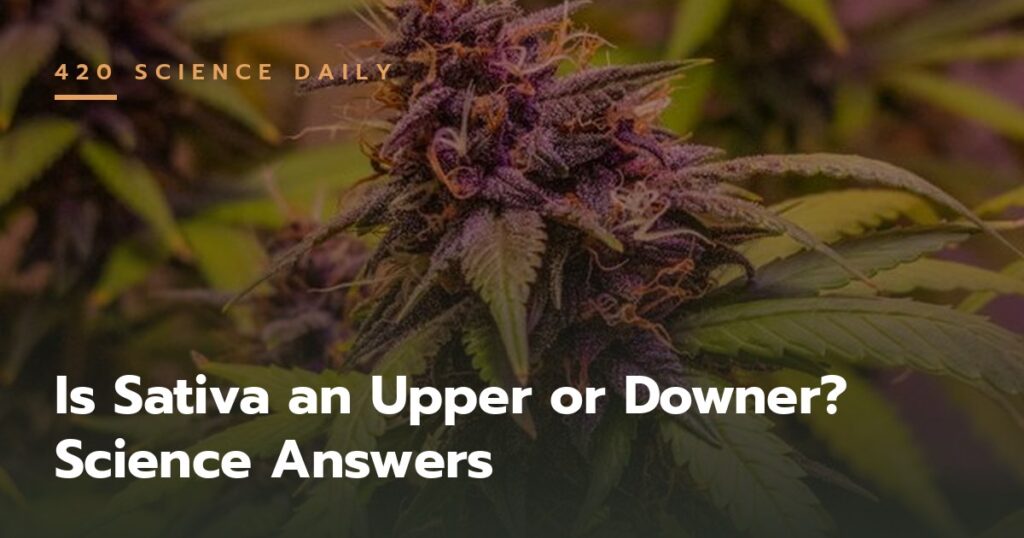 Is sativa an upper or downer — cannabis science explained