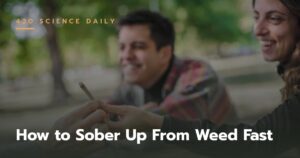 How to Sober Up From Weed Fast: What Actually Works (and What Doesn’t)
