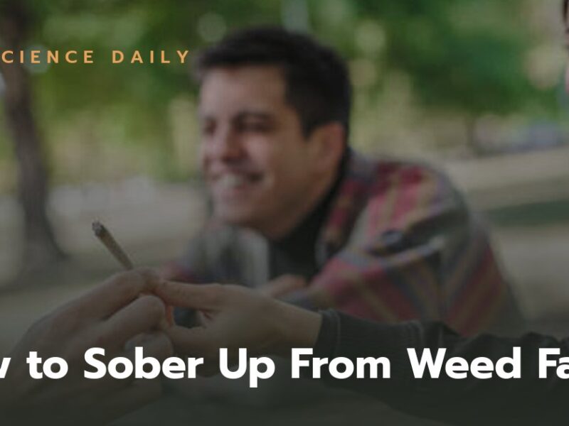 How to Sober Up From Weed Fast: What Actually Works (and What Doesn’t)