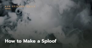 How to Make a Sploof | Ultimate Guide