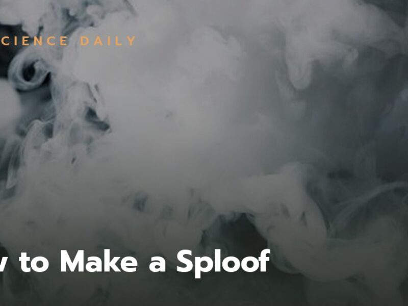 How to Make a Sploof | Ultimate Guide