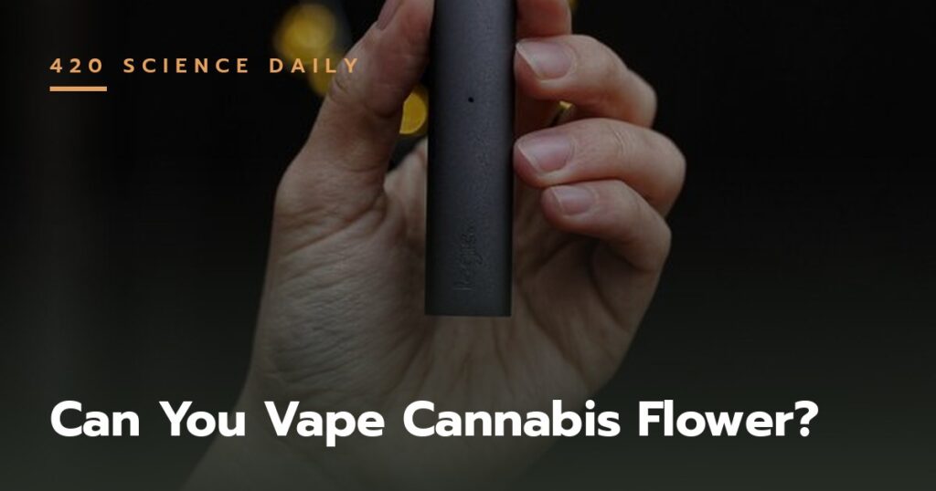 Hand holding a dry herb vaporizer