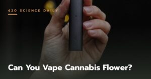 Can You Vape Cannabis Flower? A Complete Guide