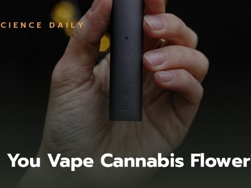 Can You Vape Cannabis Flower? A Complete Guide