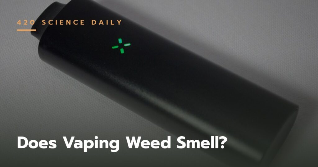 featured Vaping Weed Smell